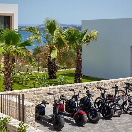 1 Ferienhaus